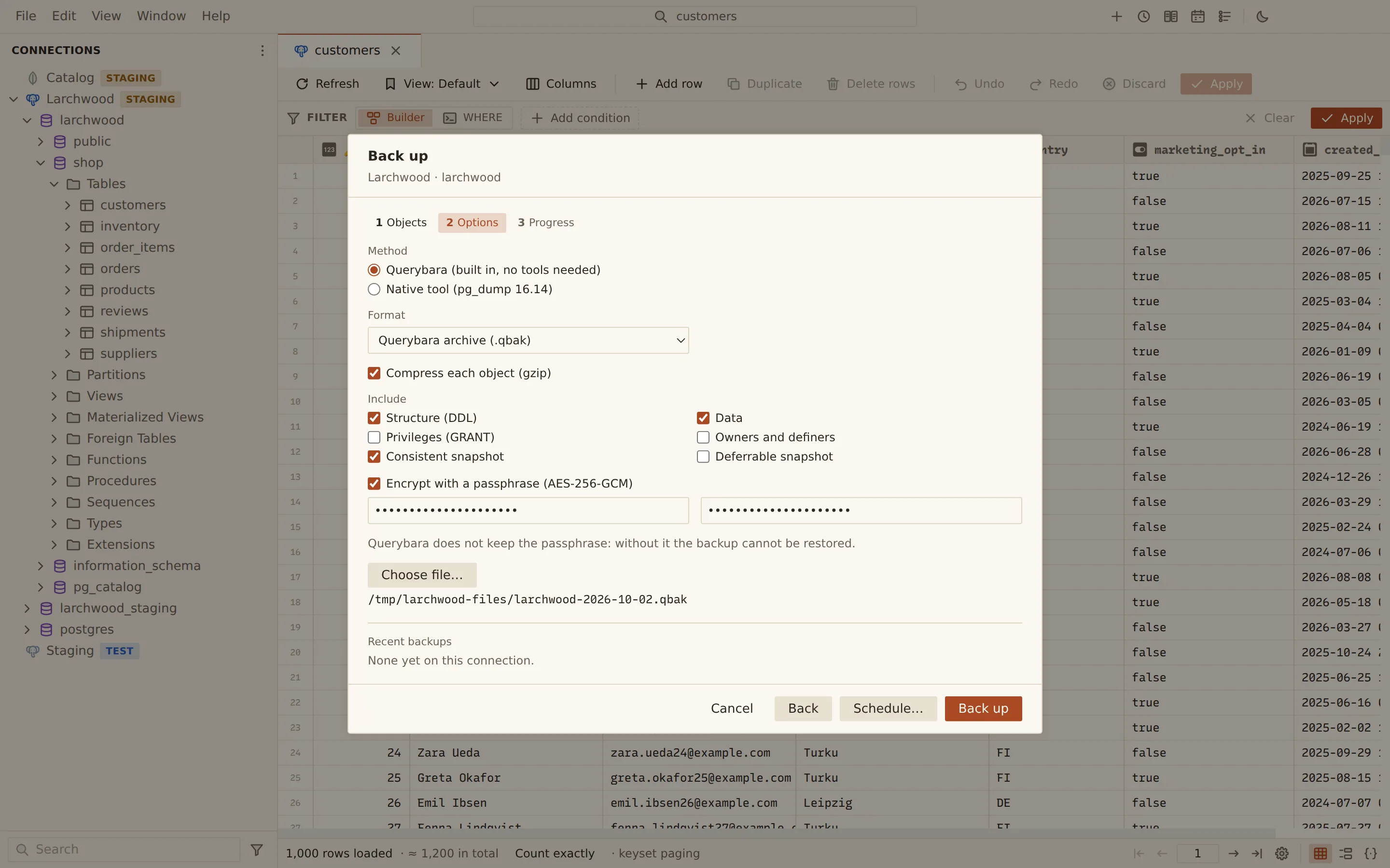 Back up wizard for the larchwood database: the built-in Querybara method, the .qbak archive format with gzip, structure and data included, encryption with a passphrase (AES-256-GCM), and the destination file.