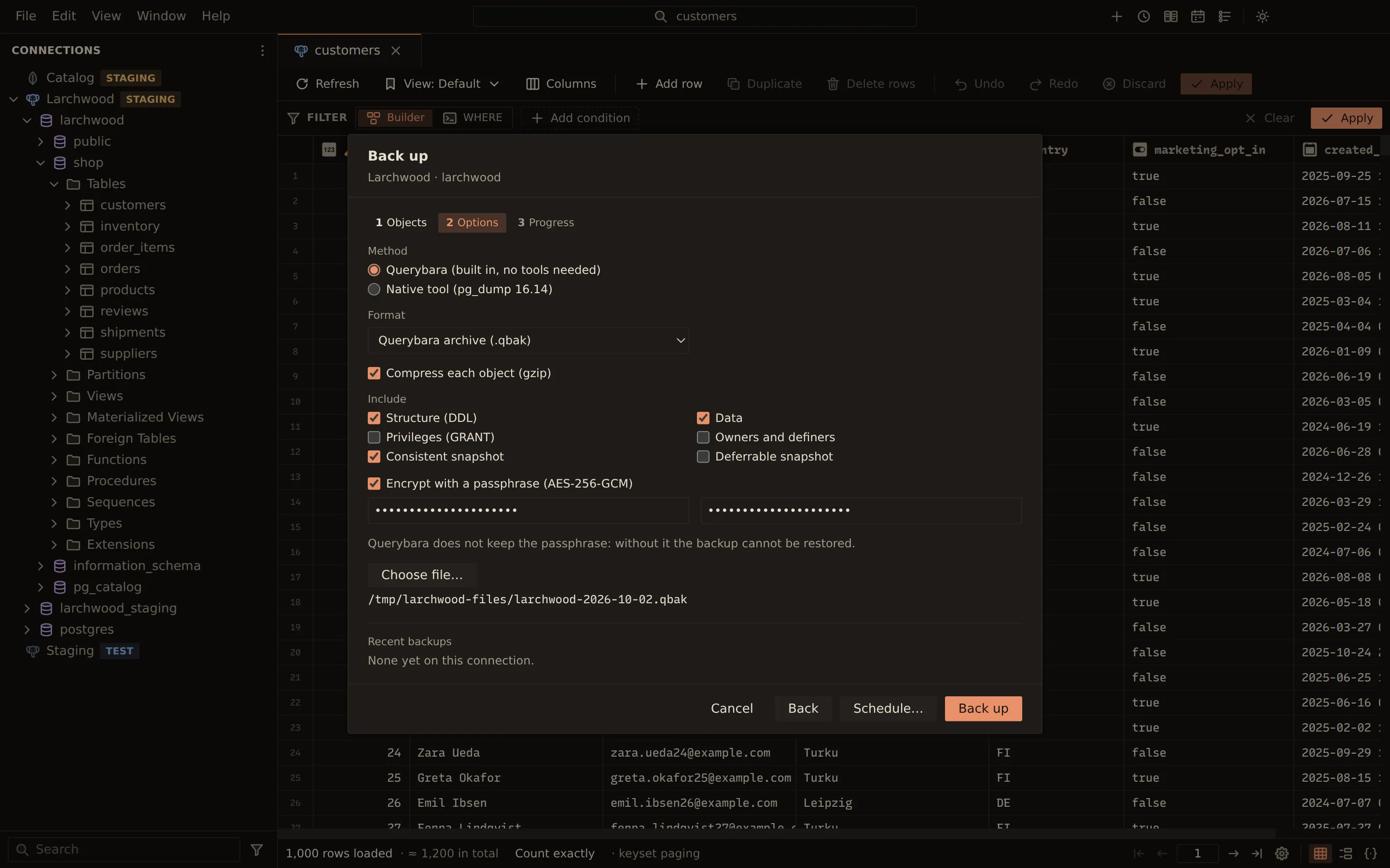 Back up wizard for the larchwood database: the built-in Querybara method, the .qbak archive format with gzip, structure and data included, encryption with a passphrase (AES-256-GCM), and the destination file.
