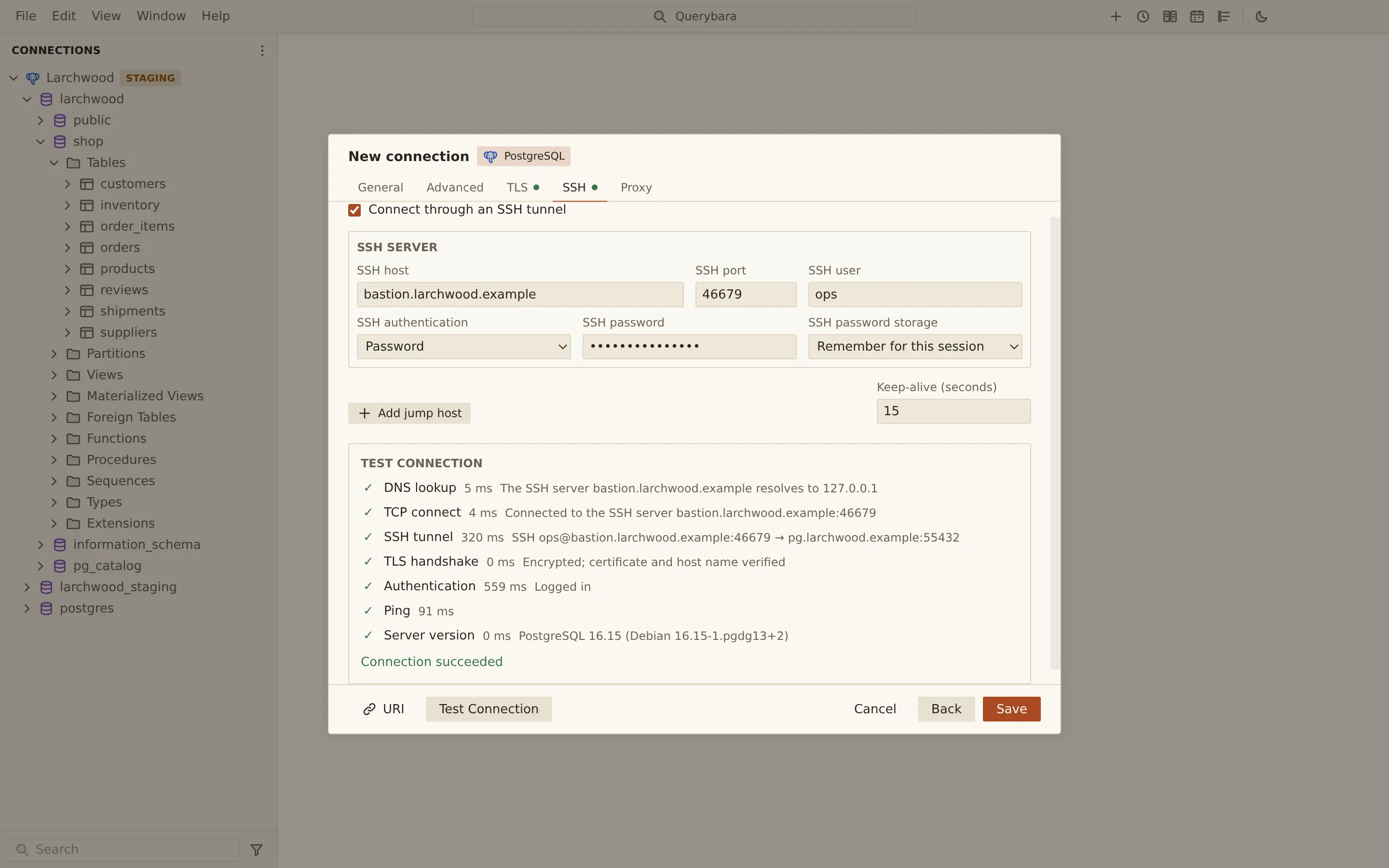 The New connection dialog after Test Connection, through an SSH tunnel via bastion.larchwood.example. Seven steps all have green ticks with their timings: DNS lookup, TCP connect, SSH tunnel, TLS handshake (certificate and host name verified), Authentication, Ping and Server version (PostgreSQL 16.15), followed by Connection succeeded.