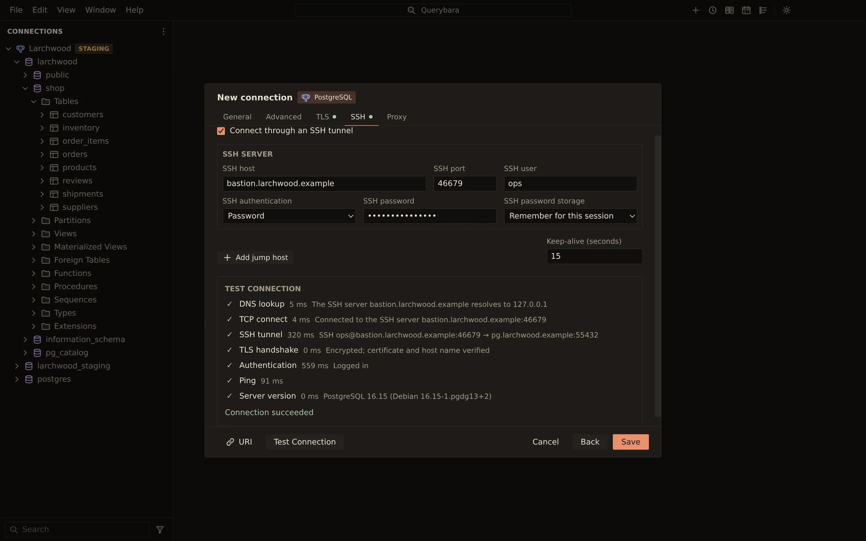 The New connection dialog after Test Connection, through an SSH tunnel via bastion.larchwood.example. Seven steps all have green ticks with their timings: DNS lookup, TCP connect, SSH tunnel, TLS handshake (certificate and host name verified), Authentication, Ping and Server version (PostgreSQL 16.15), followed by Connection succeeded.